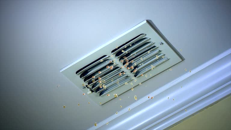 Best Air Duct Cleaning Near Me  in Elkton, KY